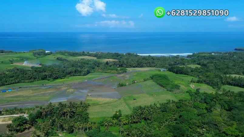 dijual tanah banjar bebali desa berembeng