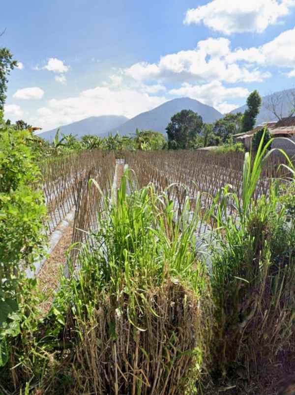 dijual tanah baturiti