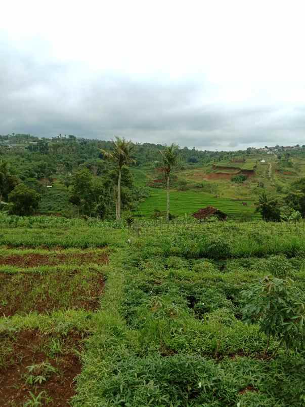 dijual tanah cikubang tanjungsari