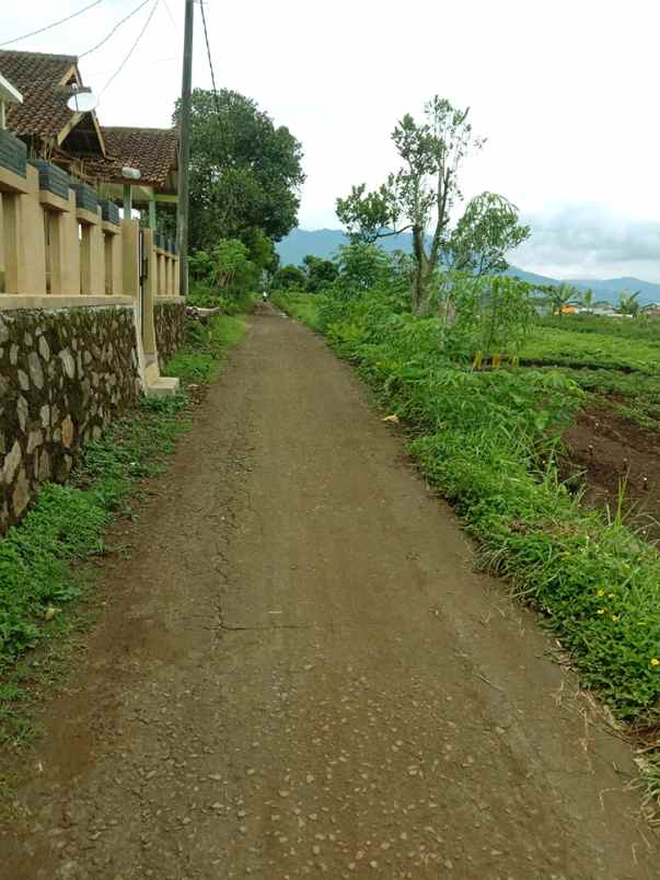 dijual tanah cikubang tanjungsari