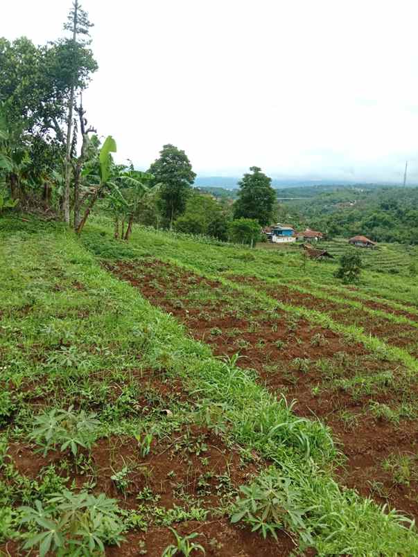 dijual tanah cikubang tanjungsari