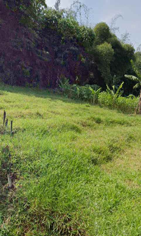 dijual tanah cileles