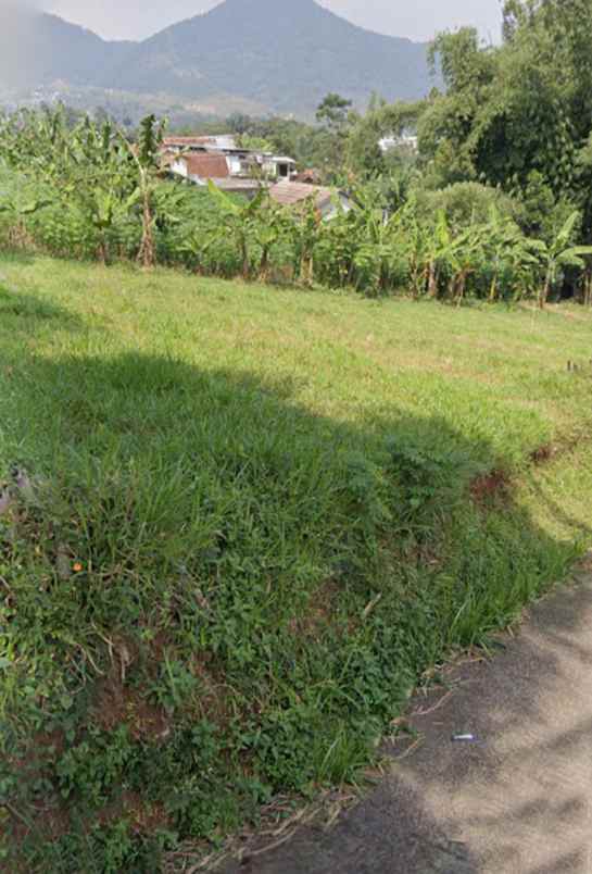 dijual tanah cileles