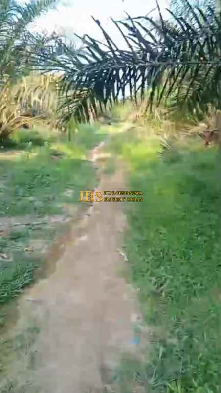 dijual tanah daerah gohor lama 13 km jl