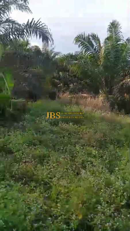 dijual tanah daerah gohor lama 13 km jl