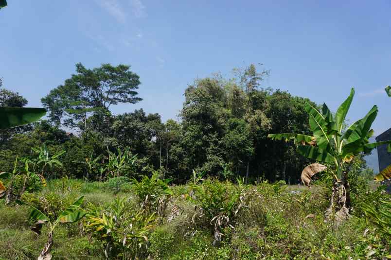 dijual tanah desa tamiajeng kec trawas