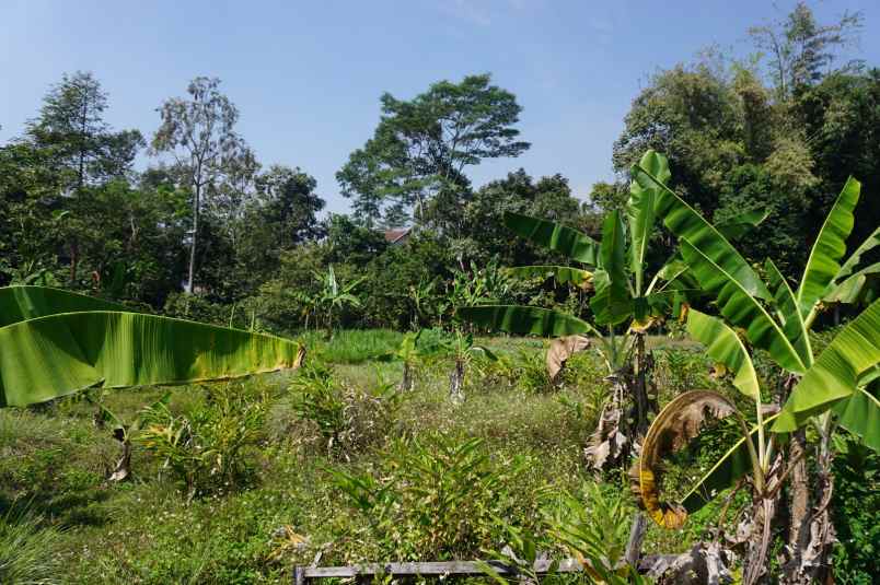 dijual tanah desa tamijang kec trawas