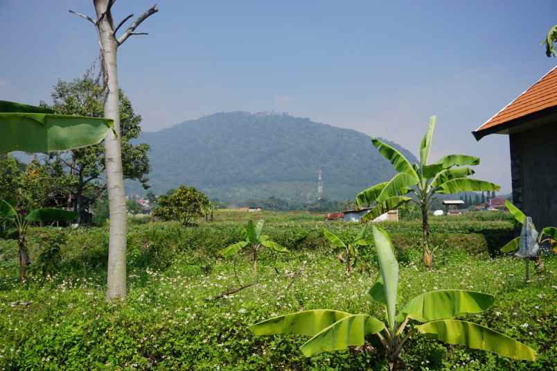 dijual tanah desa tamijang kec trawas