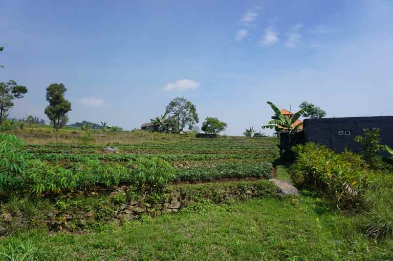 dijual tanah desa tamijang kec trawas