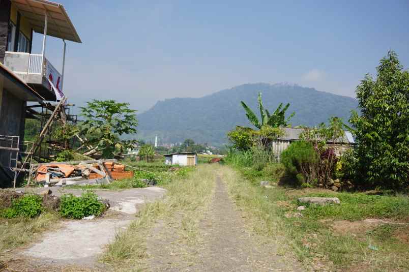 dijual tanah desa tamijang kec trawas