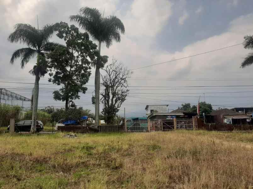 dijual tanah di jalan raya pandanrejo