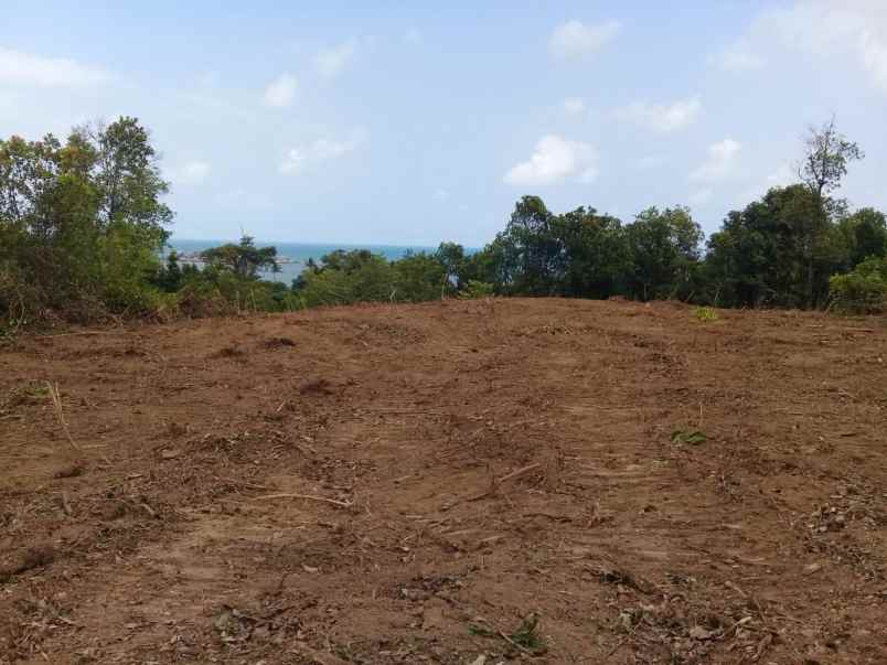 dijual tanah di kawasan pantai tanjung tinggi belitung