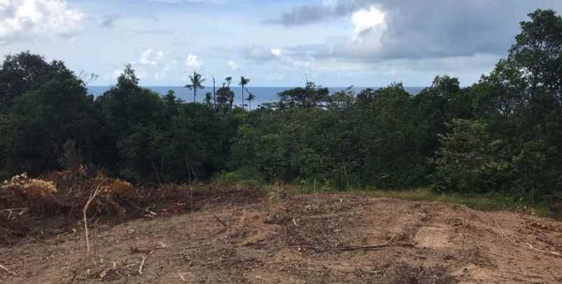 dijual tanah di kawasan pantai tanjung tinggi belitung