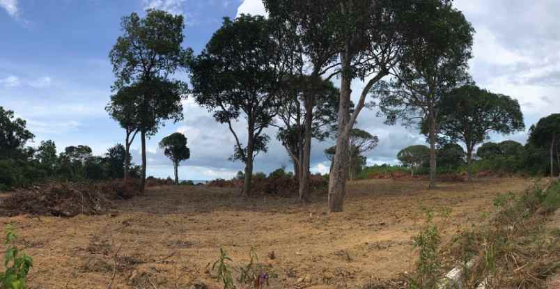dijual tanah di kawasan pantai tanjung tinggi belitung