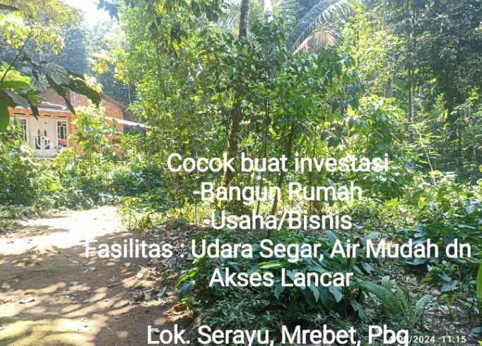 dijual tanah dijual tanah di desa