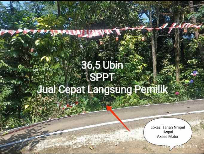 dijual tanah dijual tanah di desa