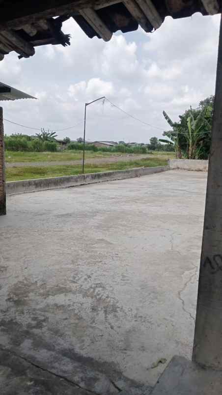 dijual tanah dijual tanah di dk ngentak