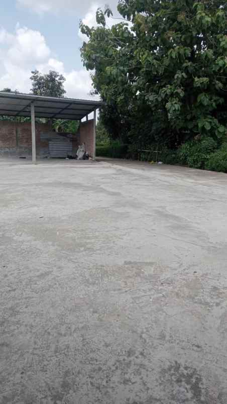 dijual tanah dijual tanah di dk ngentak