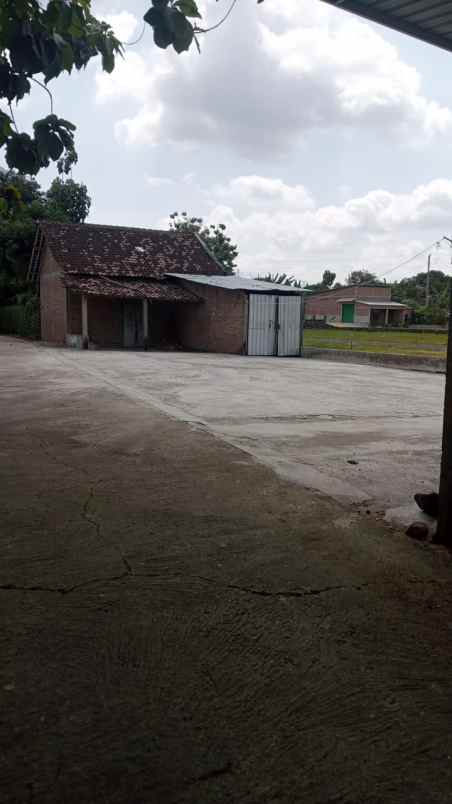 dijual tanah dijual tanah di dk ngentak