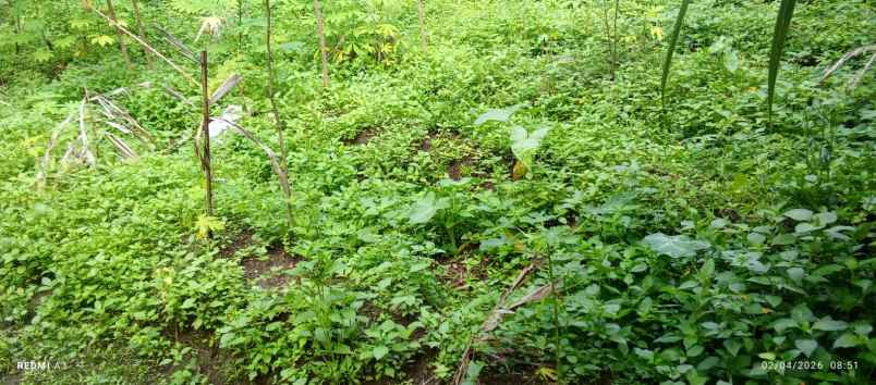 dijual tanah dijual tanah di watuadeg