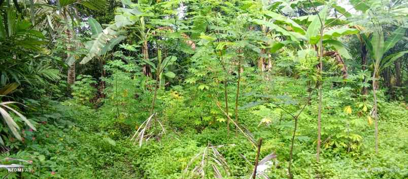 dijual tanah dijual tanah di watuadeg