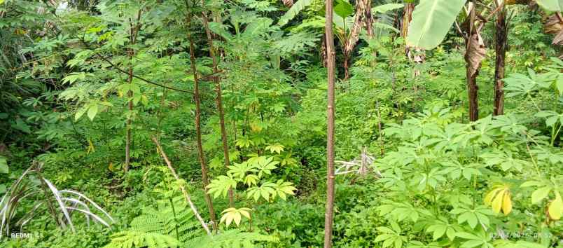 dijual tanah dijual tanah di watuadeg