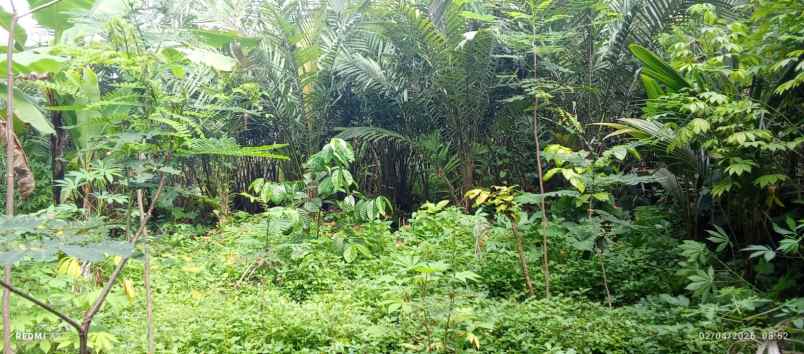 dijual tanah dijual tanah di watuadeg