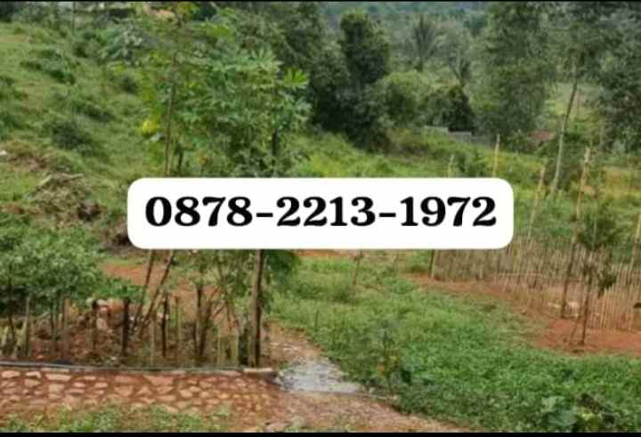 dijual tanah dramaga bogor