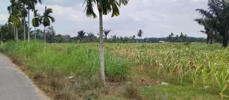 dijual tanah gedung agung jati agung
