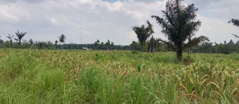 dijual tanah gedung agung jati agung