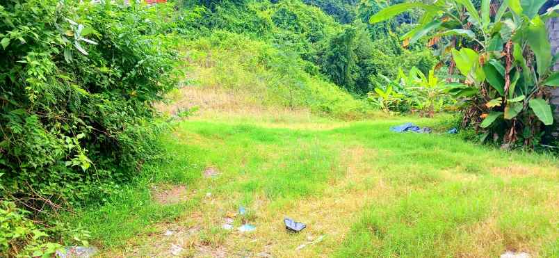 dijual tanah jalan bypass goa lawah