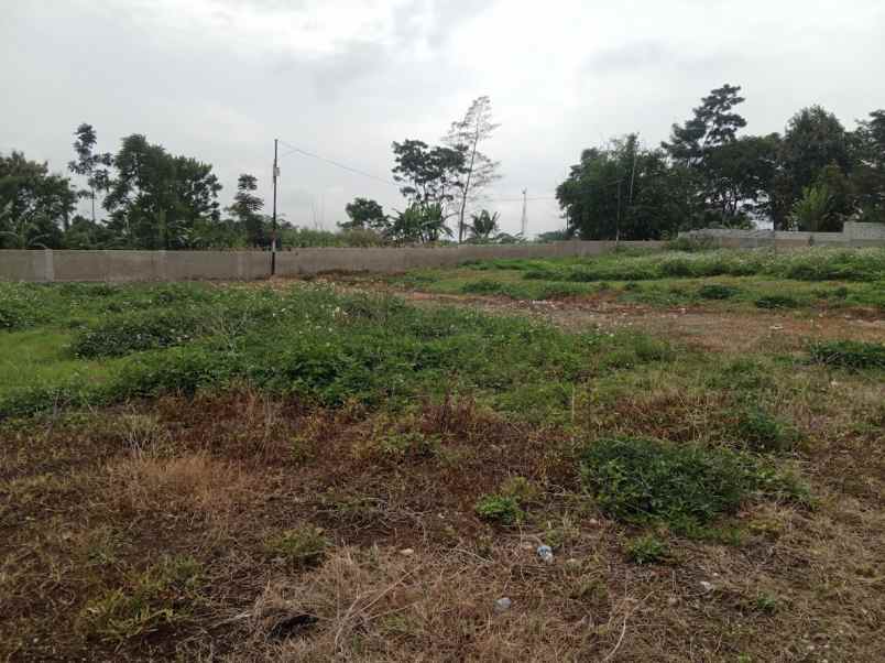 dijual tanah jalan cibodas cilame
