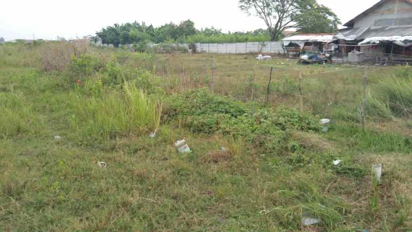 dijual tanah jalan desa srijaya