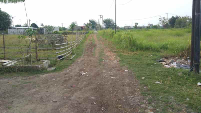 dijual tanah jalan desa srijaya