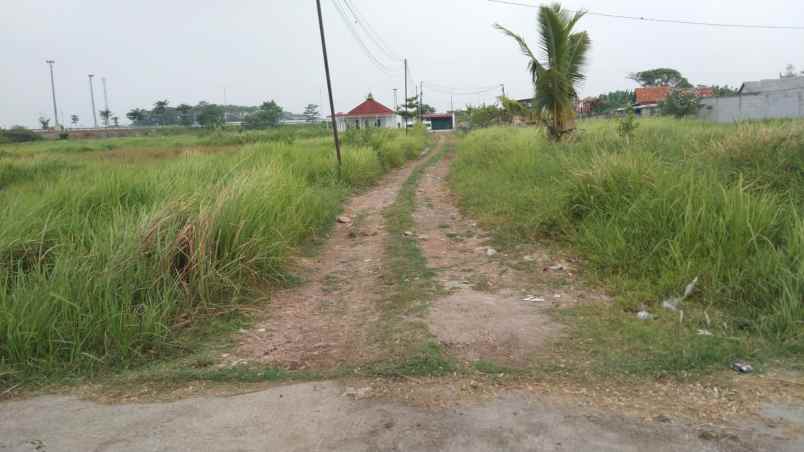 dijual tanah jalan desa srijaya