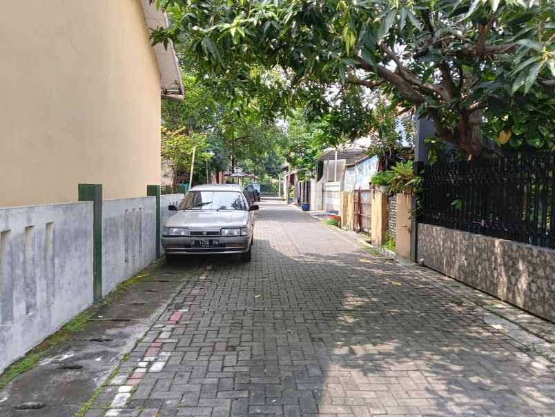 dijual tanah jalan kelinci