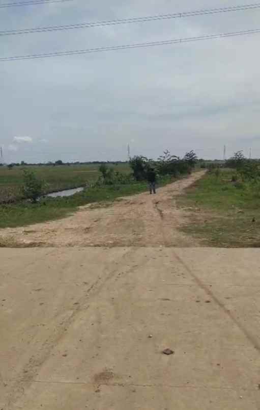 dijual tanah jalan raya kali cbl