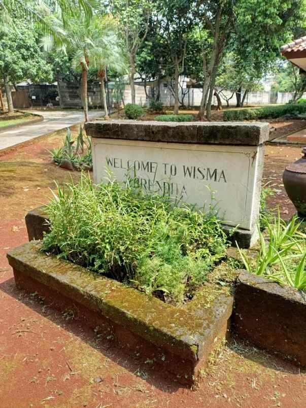 dijual tanah jalan raya pabuaran