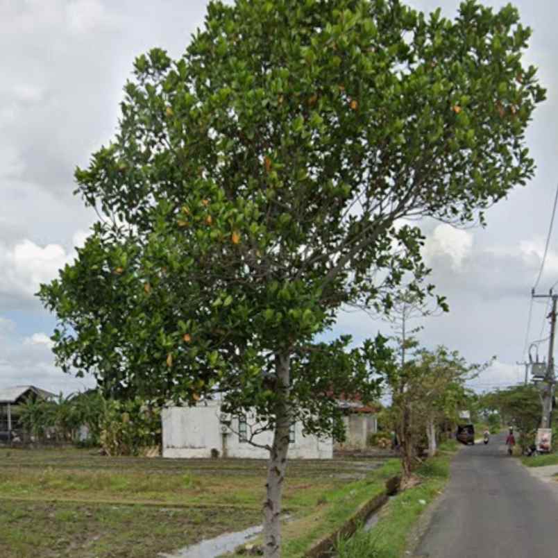 dijual tanah jl babadan pantai 5