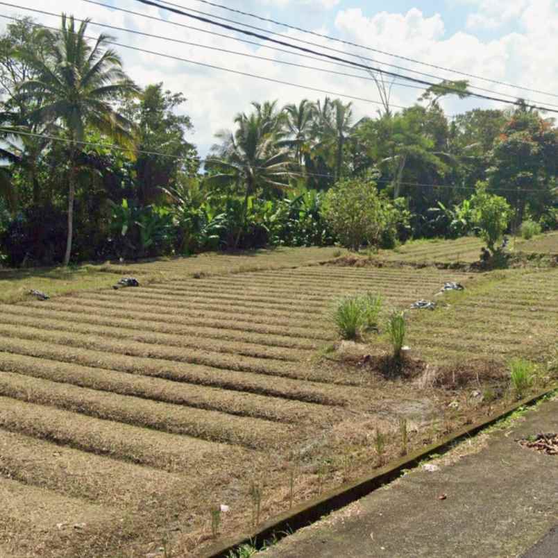 dijual tanah jl br taman tanda mengwitani
