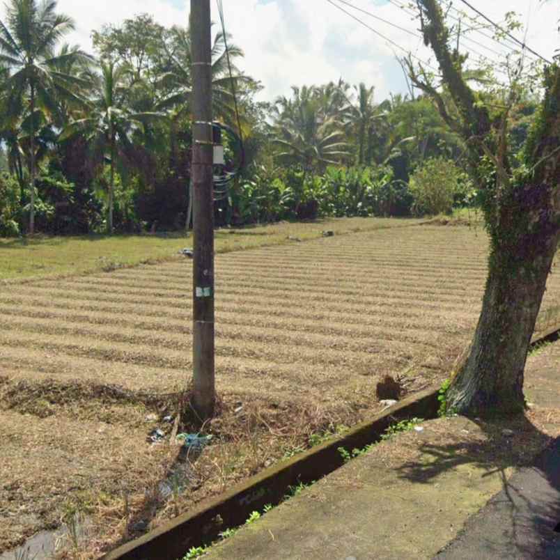 dijual tanah jl br taman tanda mengwitani