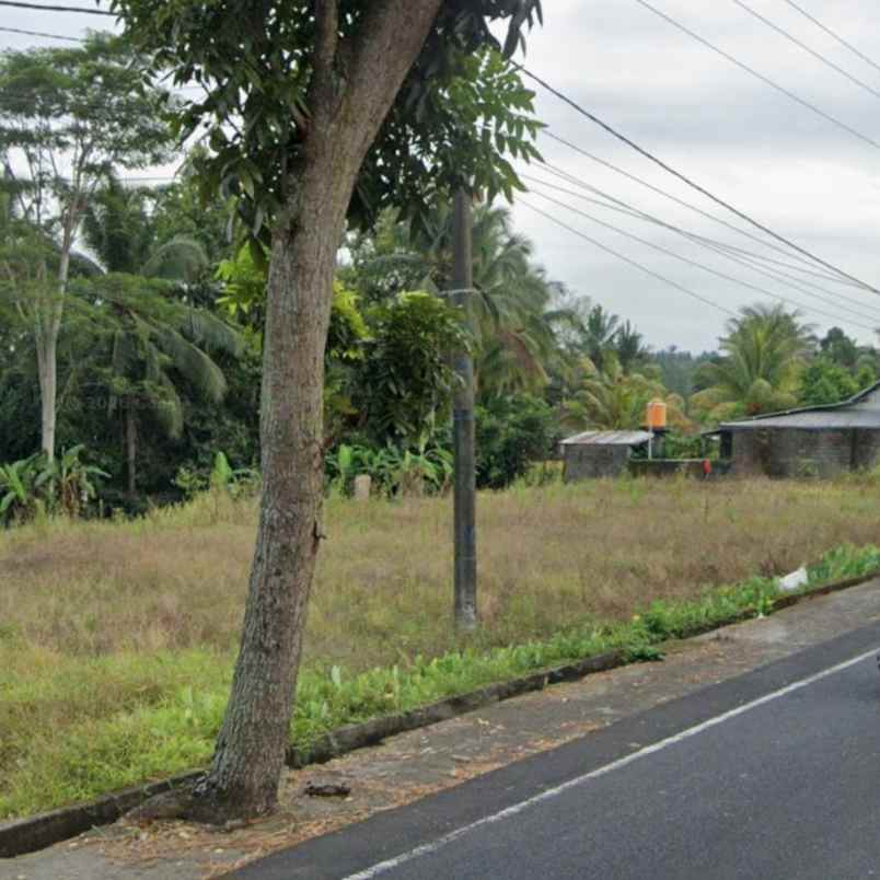 dijual tanah jl br taman tanda mengwitani