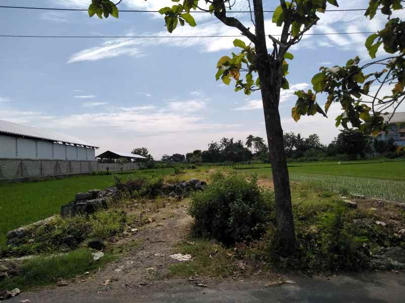 dijual tanah jl pku gamping mejing