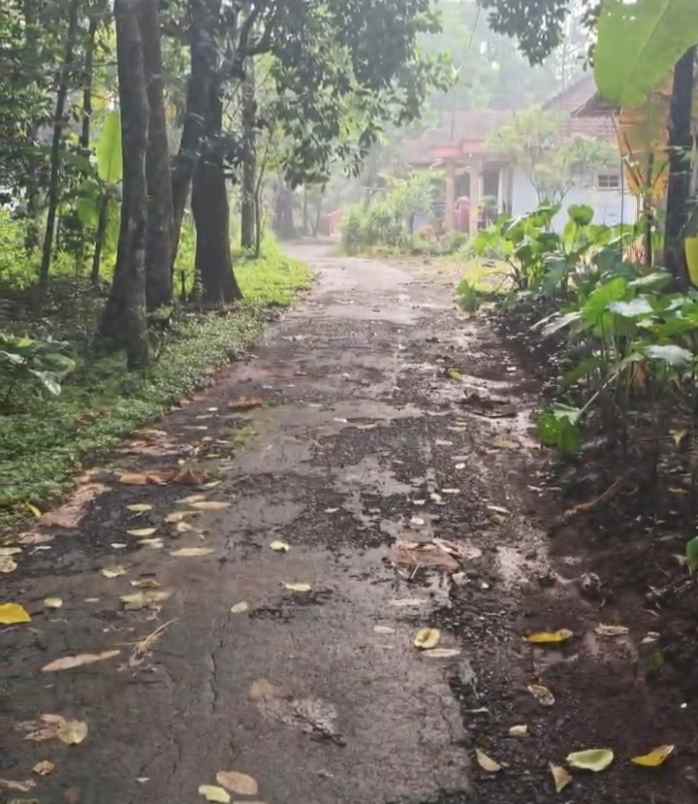 dijual tanah kebun pinggir jalan desa