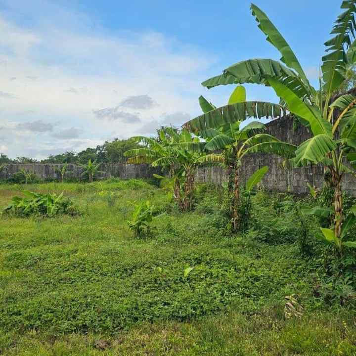 dijual tanah kediri