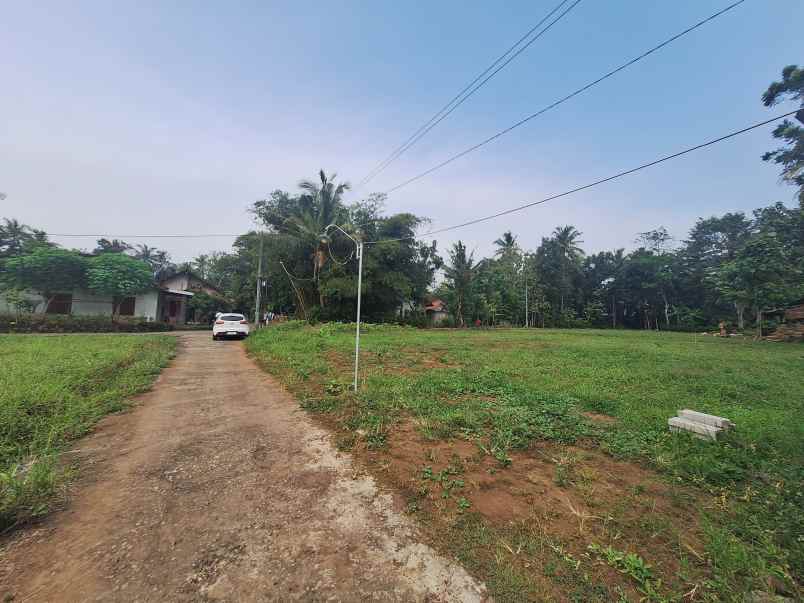 dijual tanah kedungprahu sendangrejo