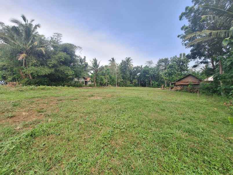dijual tanah kedungprahu sendangrejo