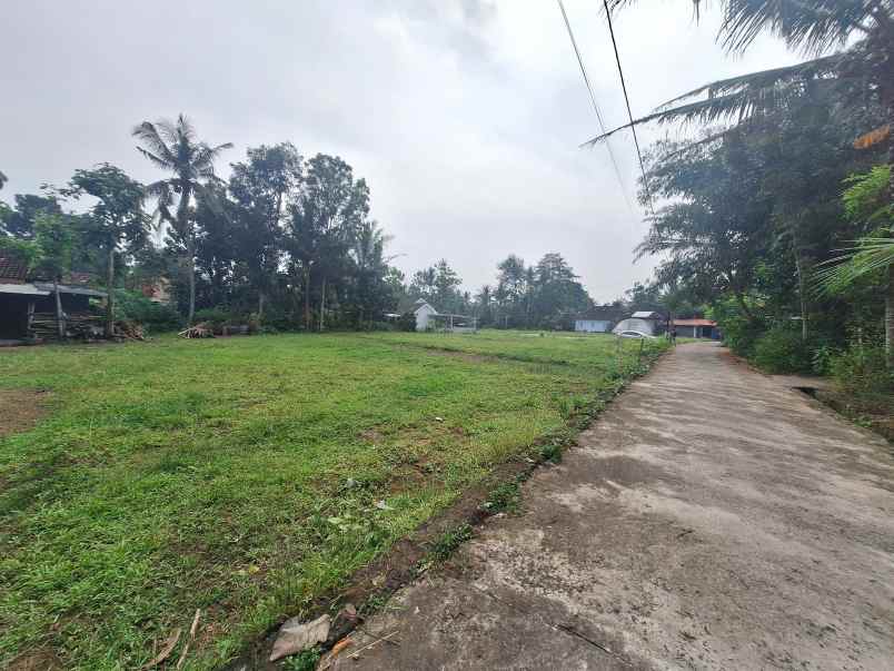 dijual tanah kedungprahu sendangrejo
