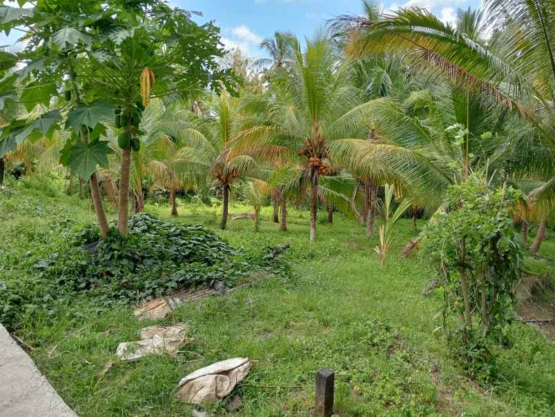 dijual tanah kerambitan tabanan bali