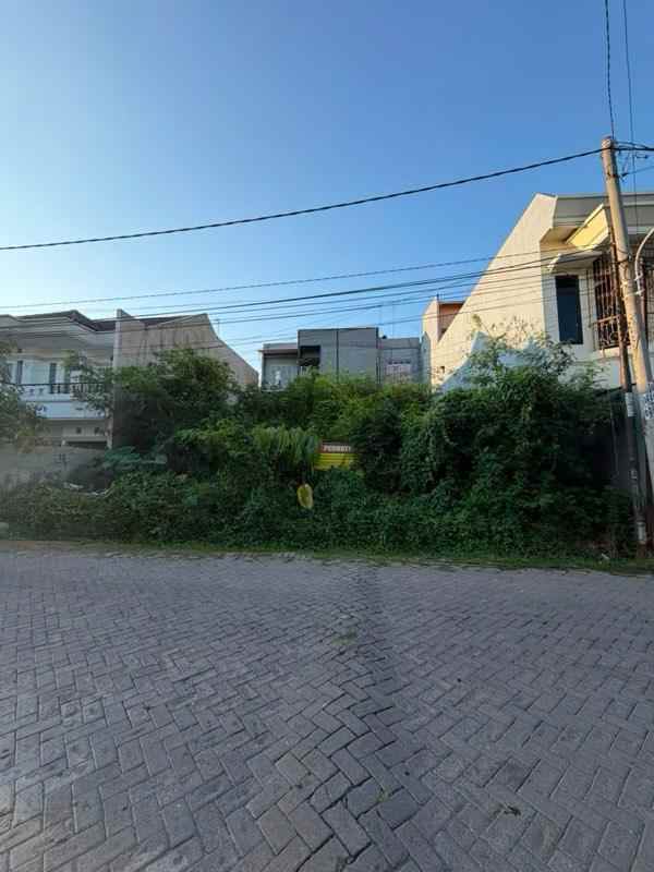 dijual tanah klampis semolo